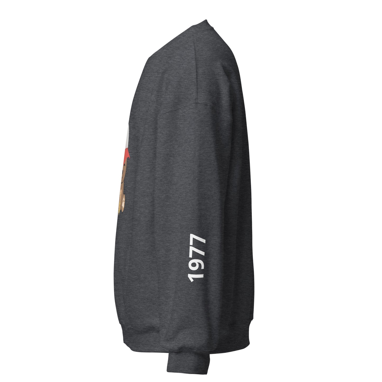 TEDDY SWEATSHIRT
