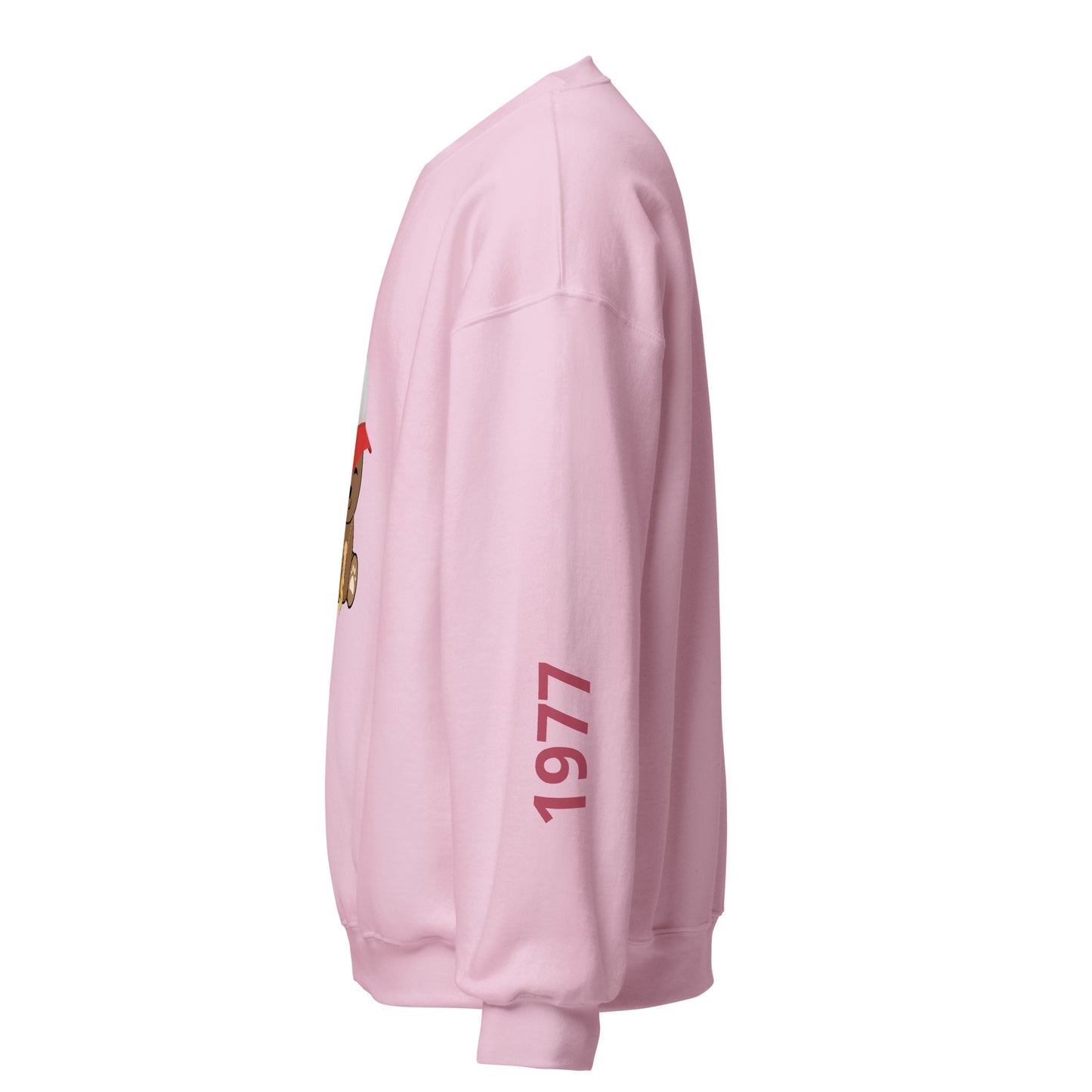 TEDDY SWEATSHIRT