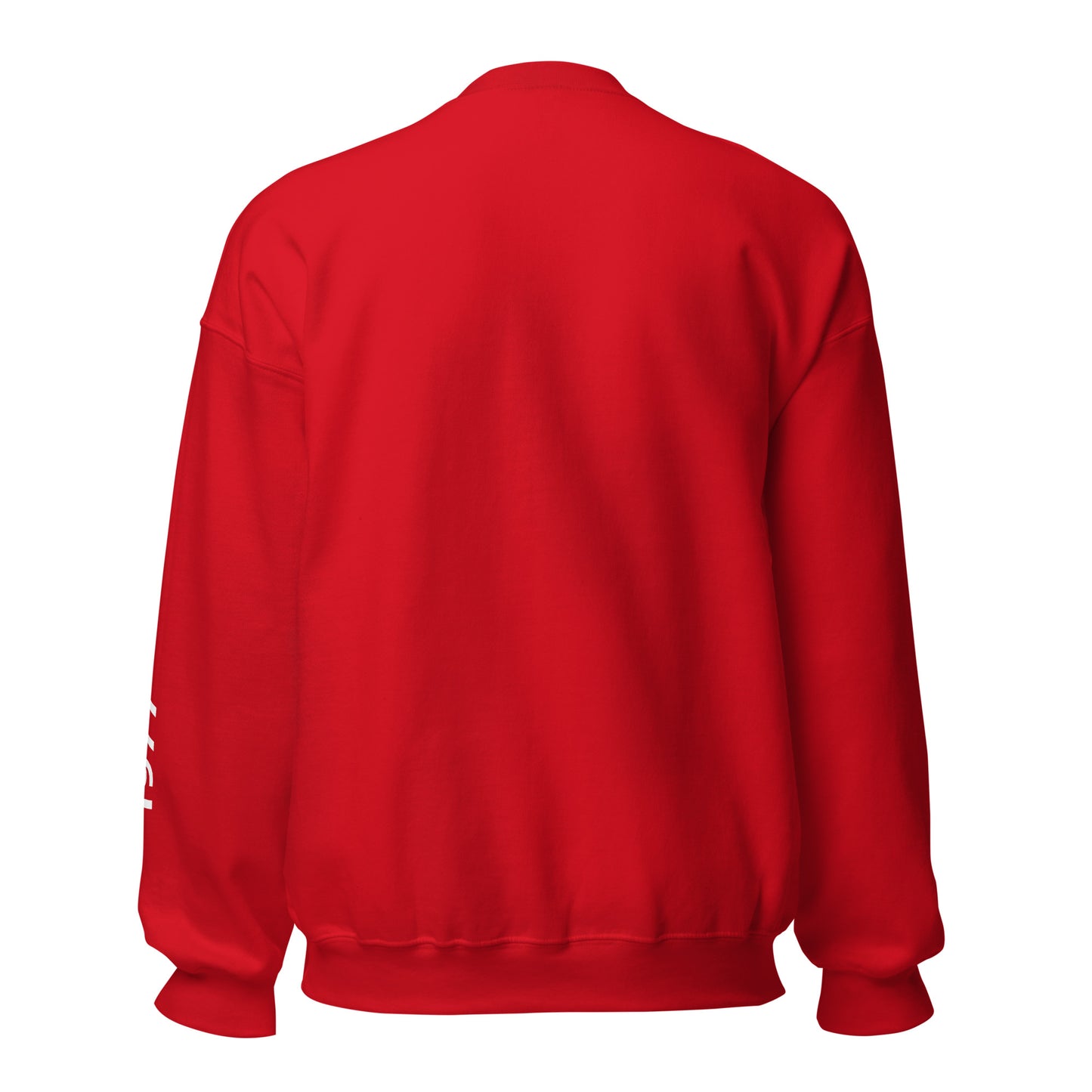 TEDDY SWEATSHIRT