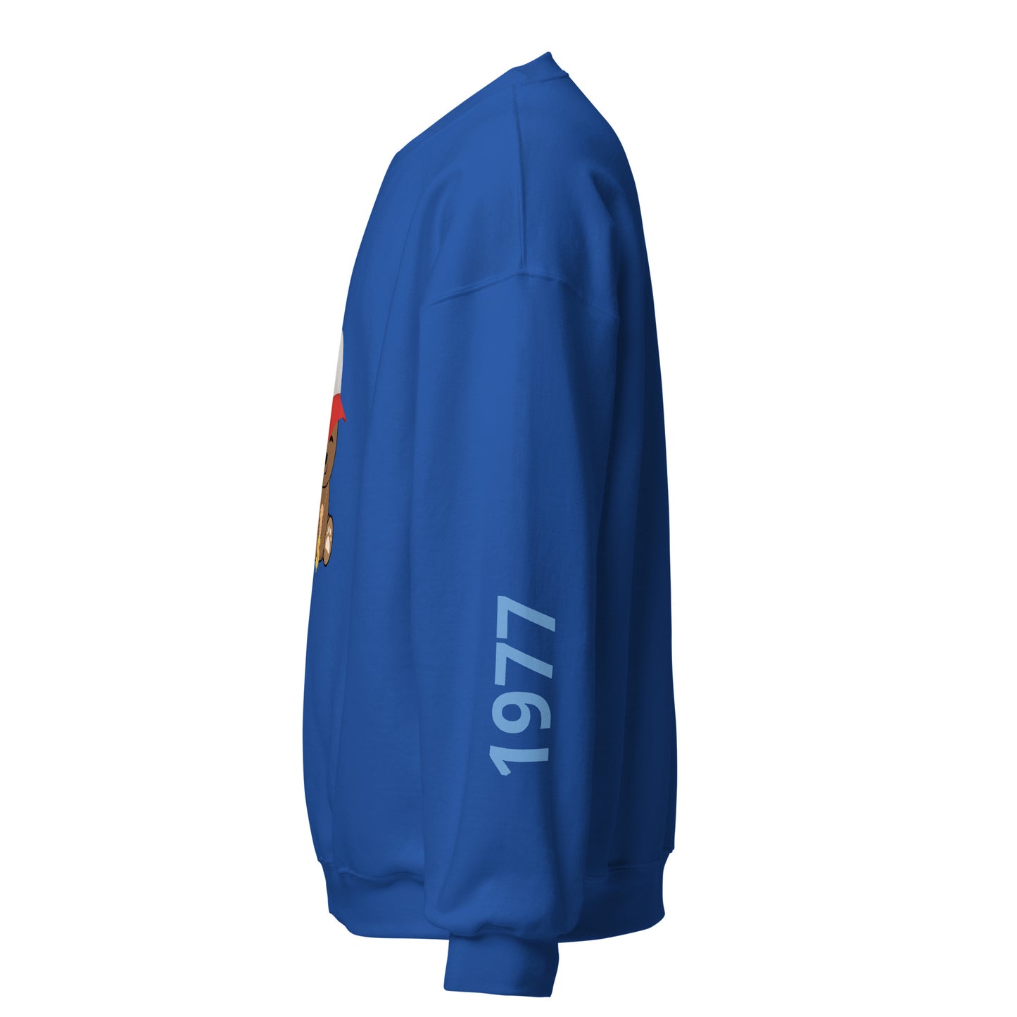 TEDDY SWEATSHIRT