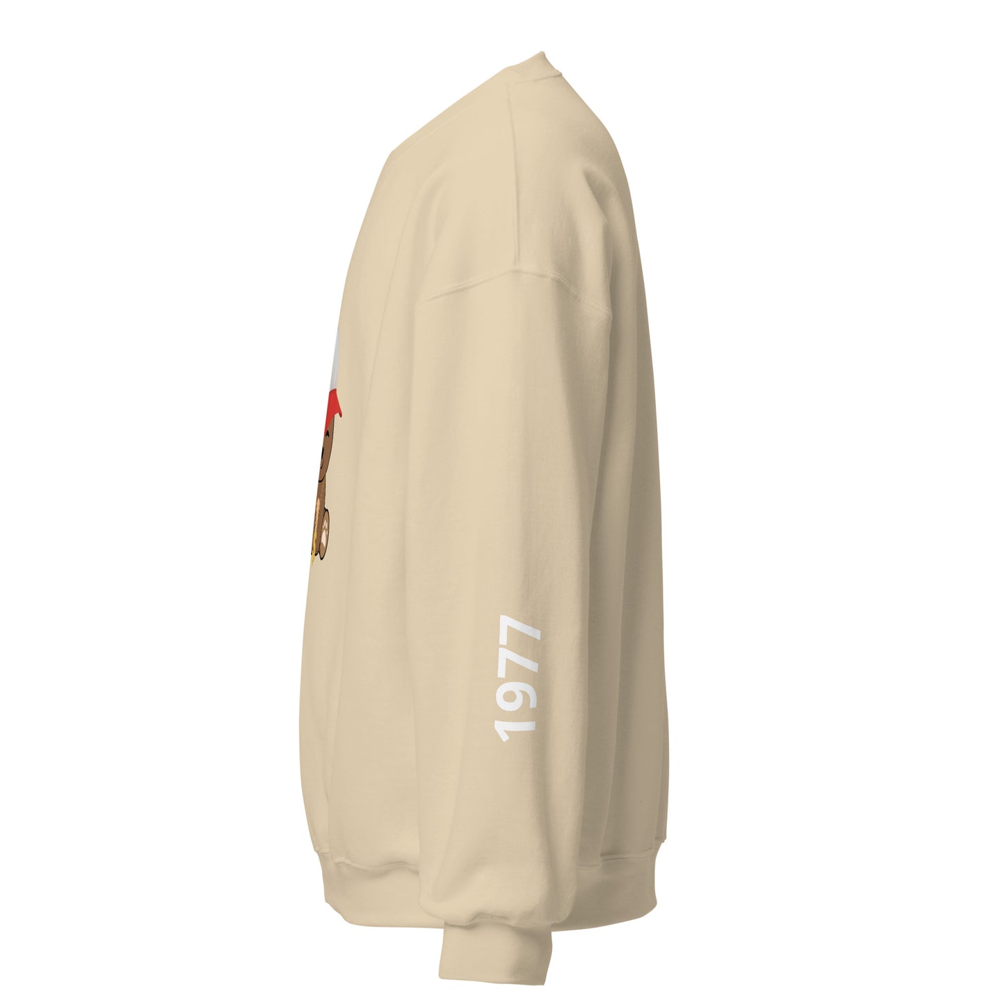TEDDY SWEATSHIRT