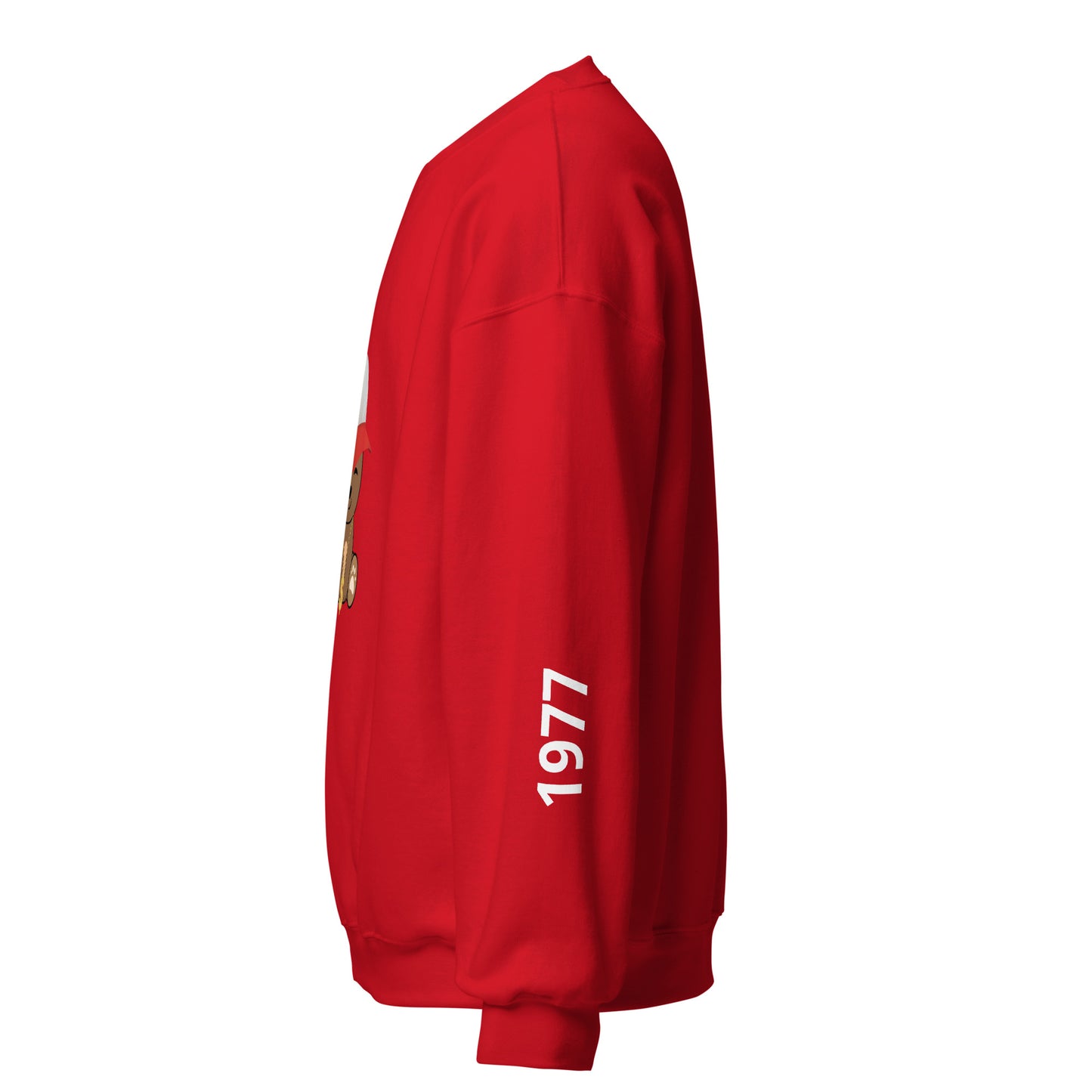 TEDDY SWEATSHIRT