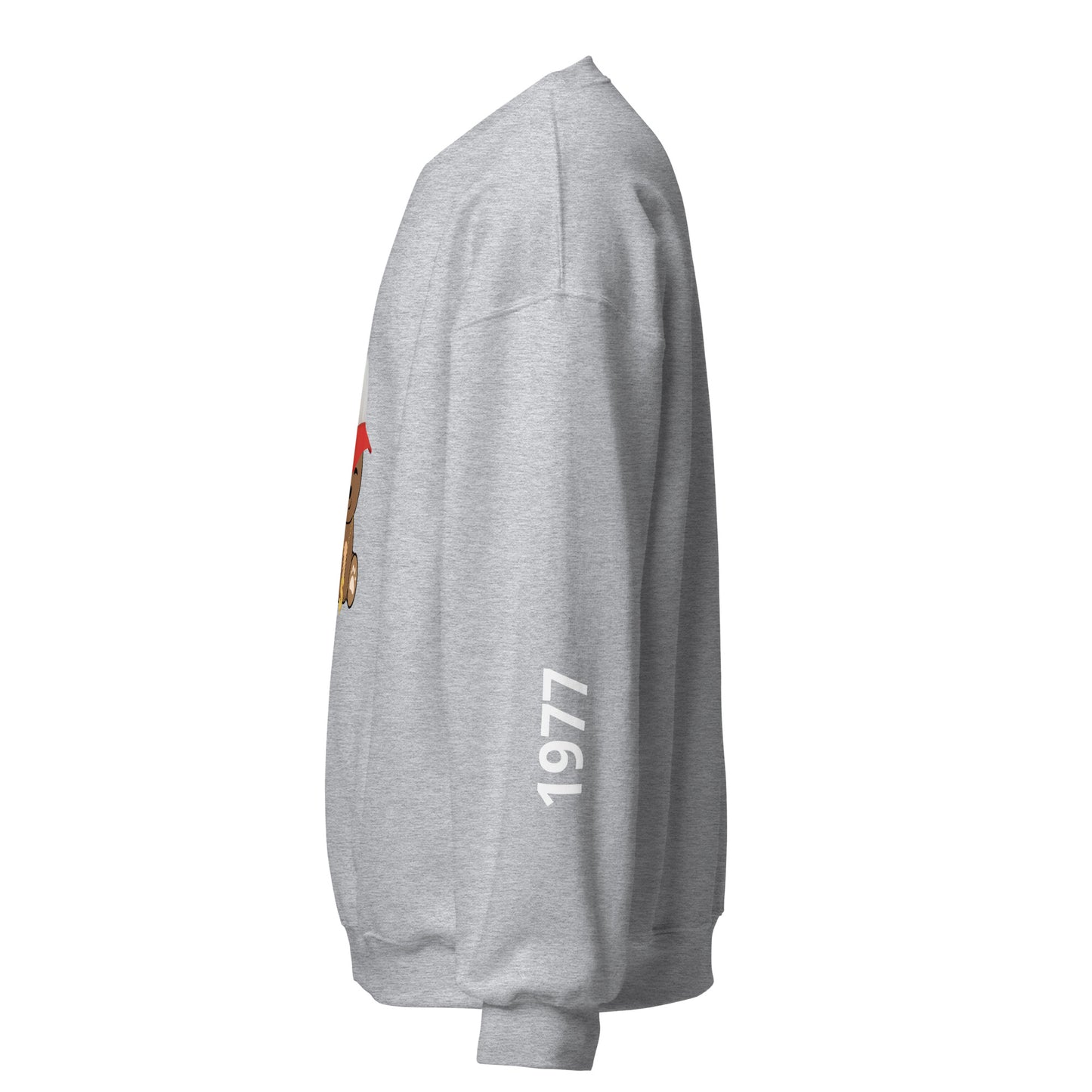 TEDDY SWEATSHIRT